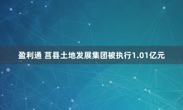 盈利通 莒县土地发展集团被执行1.01亿元