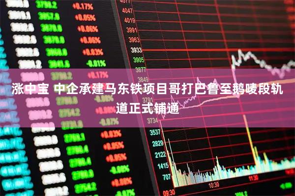 涨中宝 中企承建马东铁项目哥打巴鲁至鹅唛段轨道正式铺通