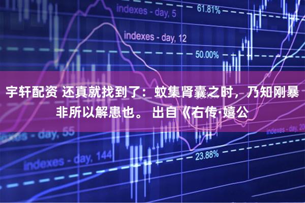 宇轩配资 还真就找到了：蚊集肾囊之时，乃知刚暴非所以解患也。 出自《右传·嬉公