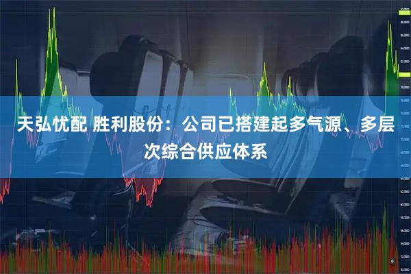 天弘忧配 胜利股份：公司已搭建起多气源、多层次综合供应体系