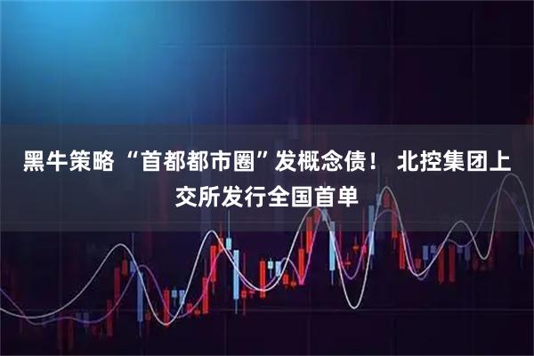 黑牛策略 “首都都市圈”发概念债！ 北控集团上交所发行全国首单