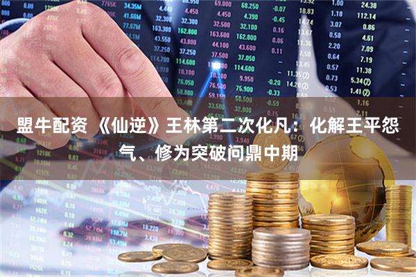 盟牛配资 《仙逆》王林第二次化凡：化解王平怨气、修为突破问鼎中期