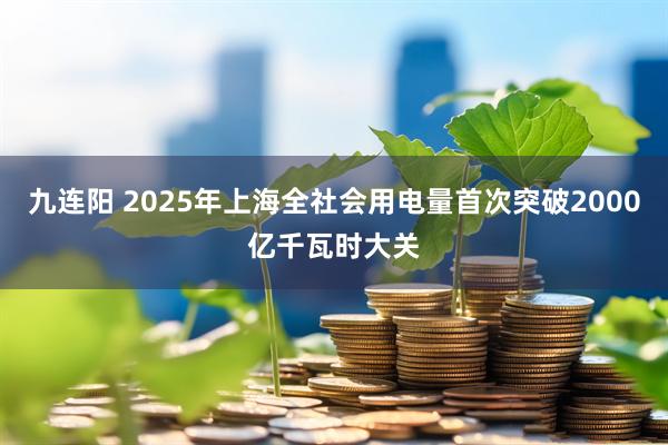 九连阳 2025年上海全社会用电量首次突破2000亿千瓦时大关