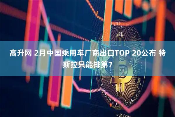 高升网 2月中国乘用车厂商出口TOP 20公布 特斯拉只能排第7