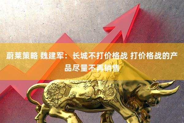 蔚莱策略 魏建军：长城不打价格战 打价格战的产品尽量不再销售