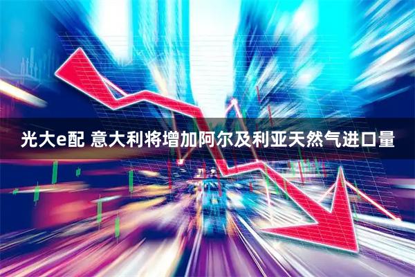 光大e配 意大利将增加阿尔及利亚天然气进口量