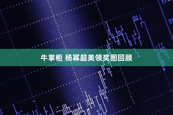 牛掌柜 杨幂超美领奖图回顾
