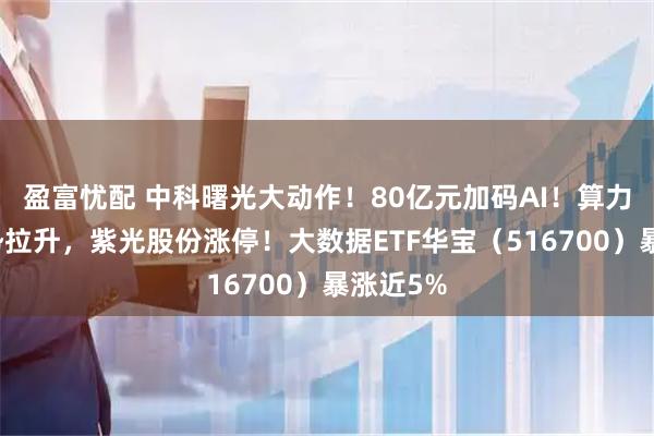 盈富忧配 中科曙光大动作！80亿元加码AI！算力租赁强势拉升，紫光股份涨停！大数据ETF华宝（516700）暴涨近5%
