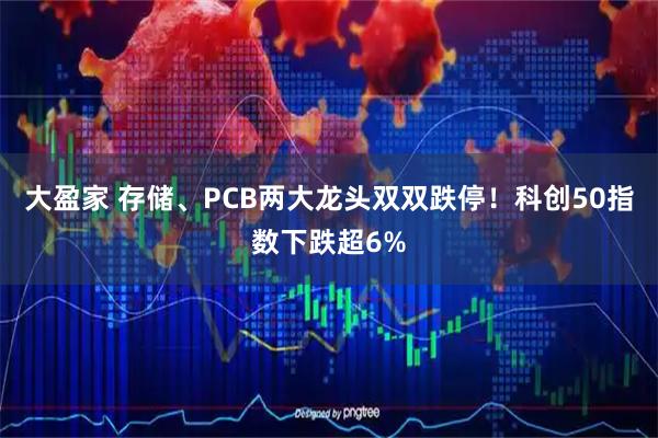大盈家 存储、PCB两大龙头双双跌停！科创50指数下跌超6%