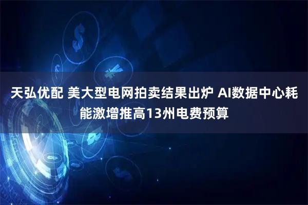 天弘优配 美大型电网拍卖结果出炉 AI数据中心耗能激增推高13州电费预算