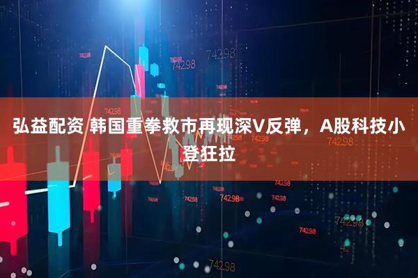 弘益配资 韩国重拳救市再现深V反弹，A股科技小登狂拉