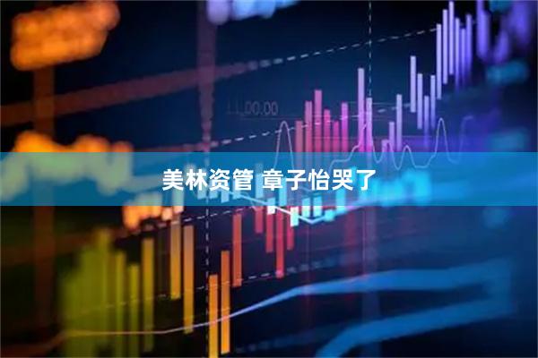 美林资管 章子怡哭了